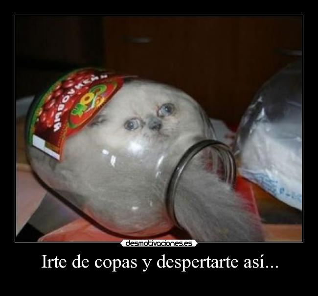 Irte de copas y despertarte así... -