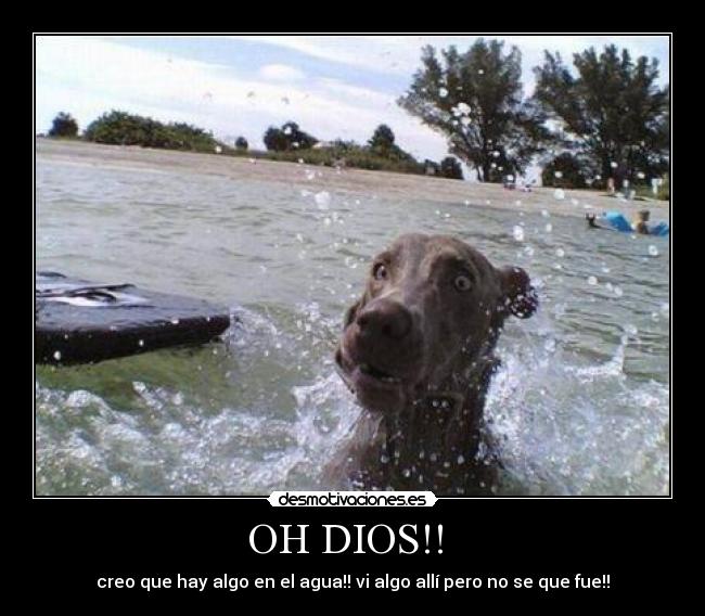 OH DIOS!! -