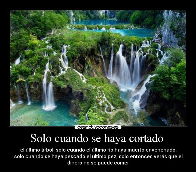 Solo cuando se haya cortado  - el último árbol, solo cuando el último río haya muerto envenenado,
solo cuando se haya pescado el ultimo pez; solo entonces verás que el
dinero no se puede comer