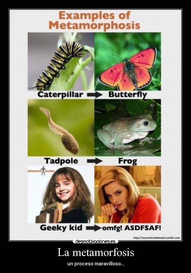 La metamorfosis -