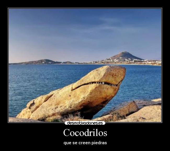 carteles cocodrilos desmotivaciones