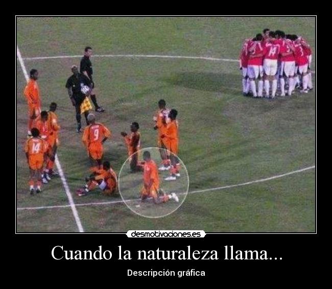 Cuando la naturaleza llama... -