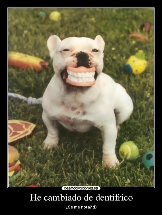 He cambiado de dentífrico -