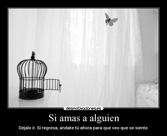 Si amas a alguien - Déjalo ir. Si regresa, andate tú ahora para que veo que se siente.
