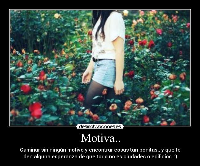 Motiva.. -