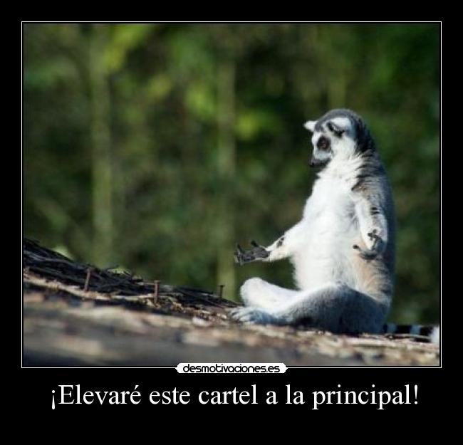¡Elevaré este cartel a la principal! - 