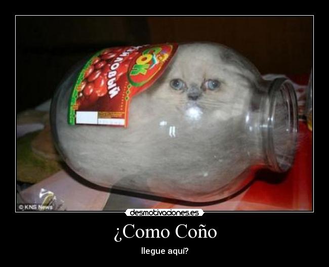 ¿Como Coño -