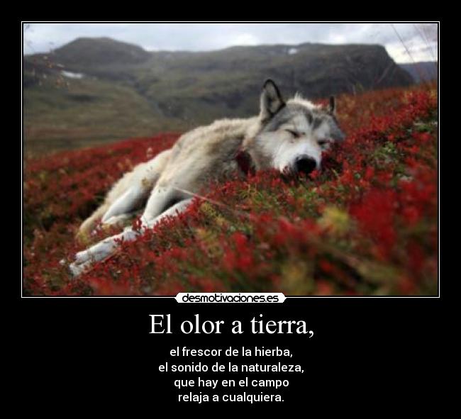 El olor a tierra, -