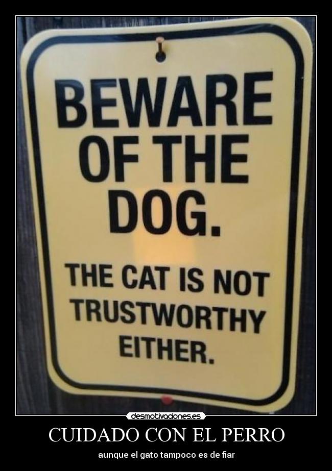 CUIDADO CON EL PERRO - aunque el gato tampoco es de fiar