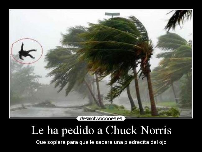 Le ha pedido a Chuck Norris -