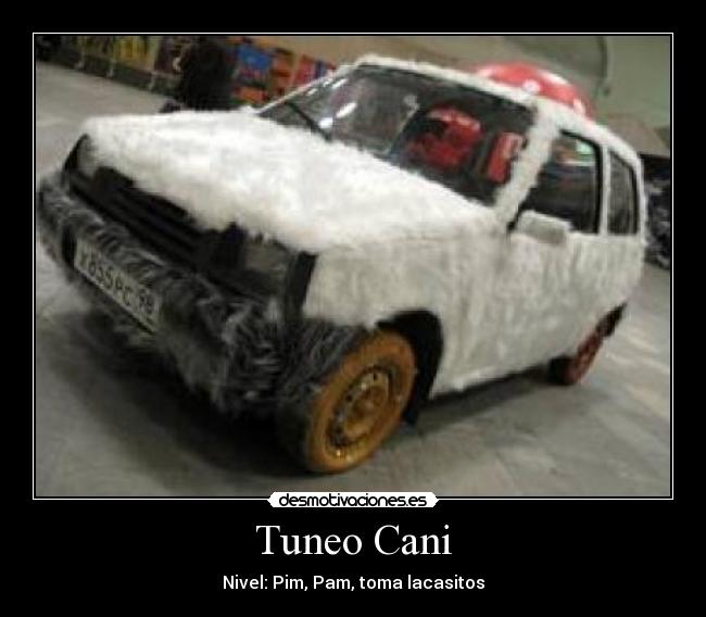 Tuneo Cani -