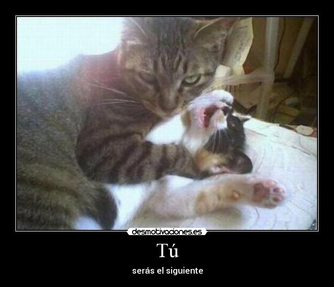 Tú - serás el siguiente