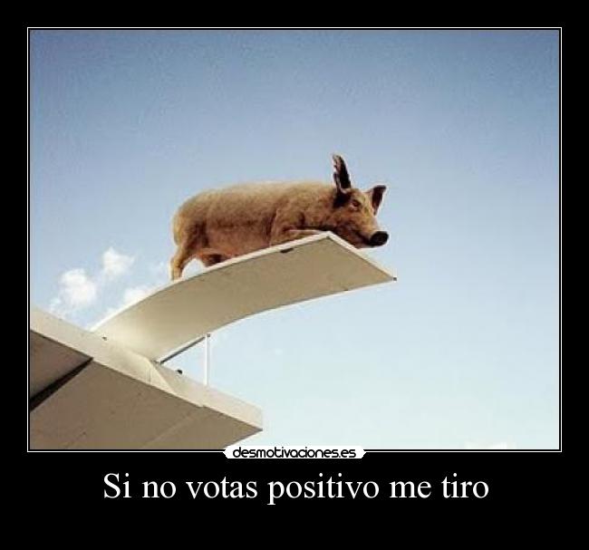 Si no votas positivo me tiro -
