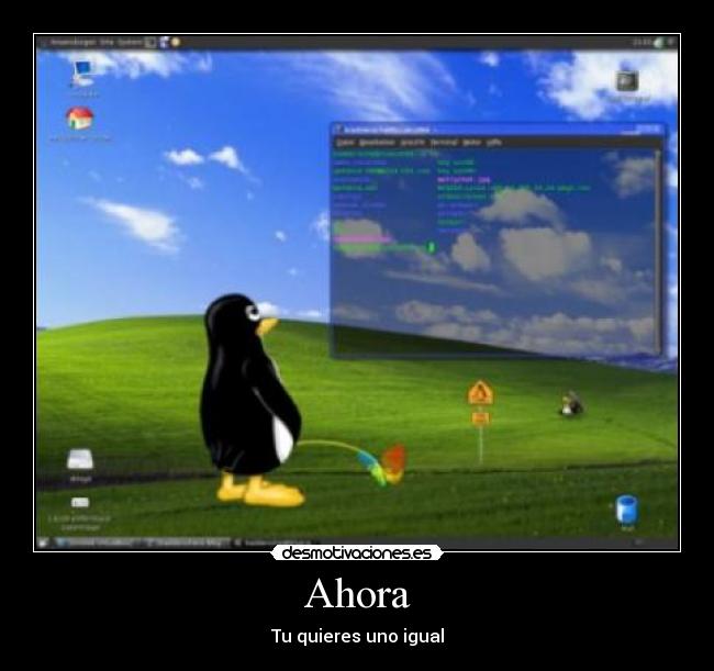 carteles windows desmotivaciones