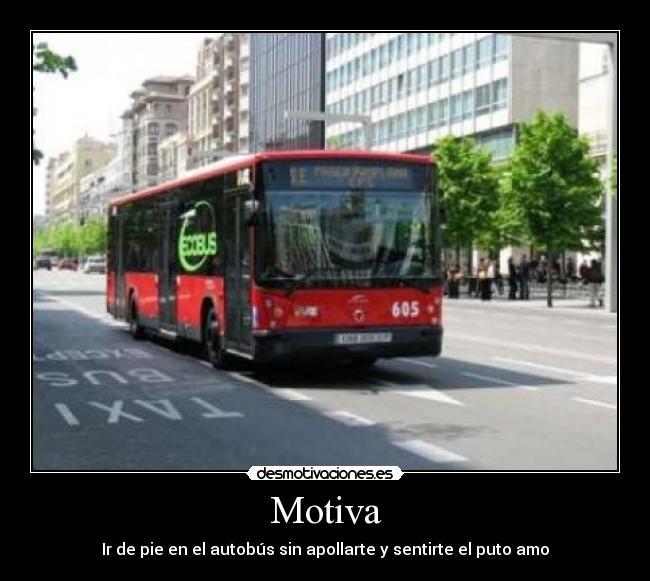 Motiva - 
