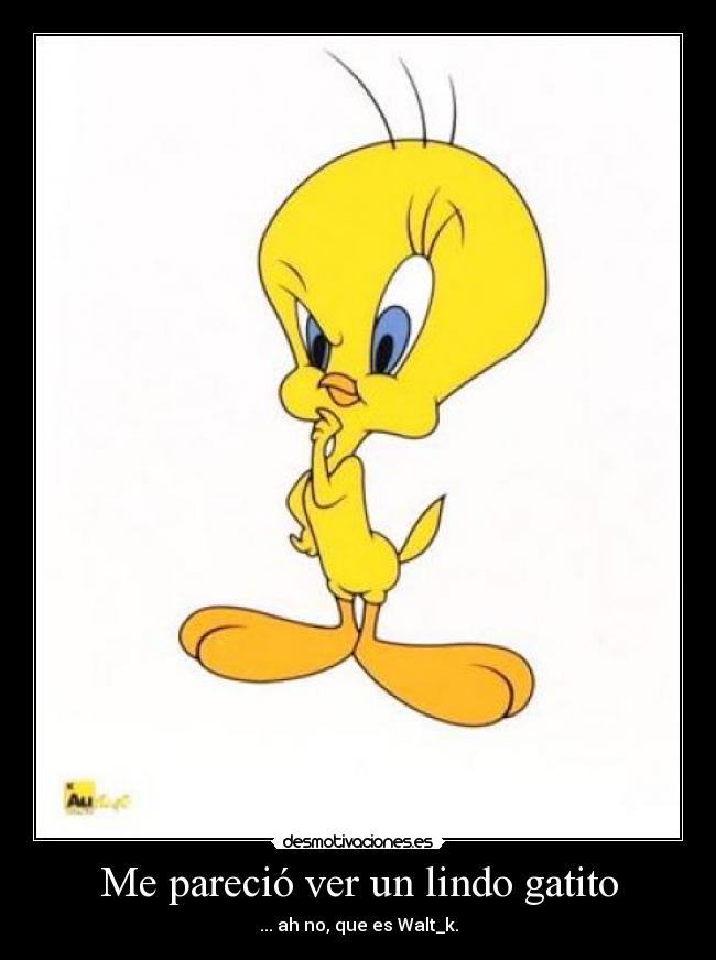 Me pareció ver un lindo gatito - 
