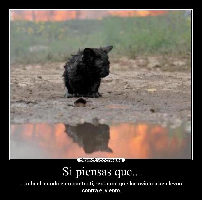 Si piensas que... - 