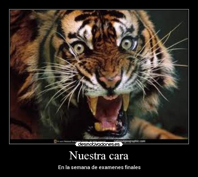 Nuestra cara - En la semana de examenes finales