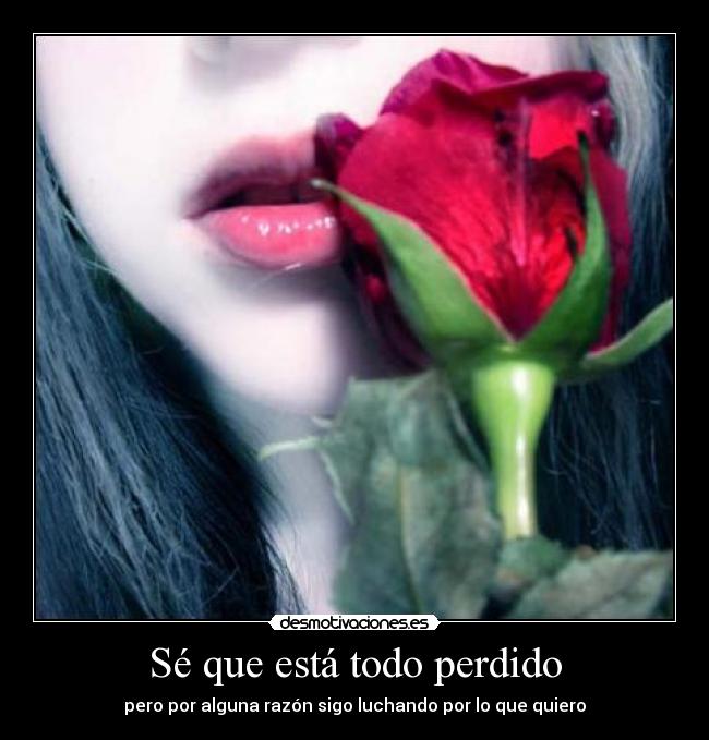 Sé que está todo perdido -