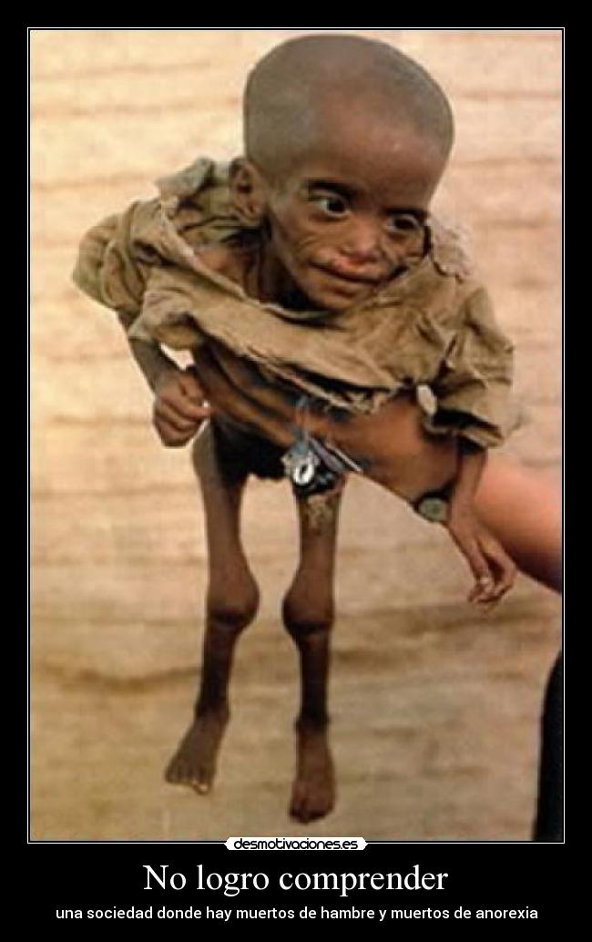 No logro comprender - 