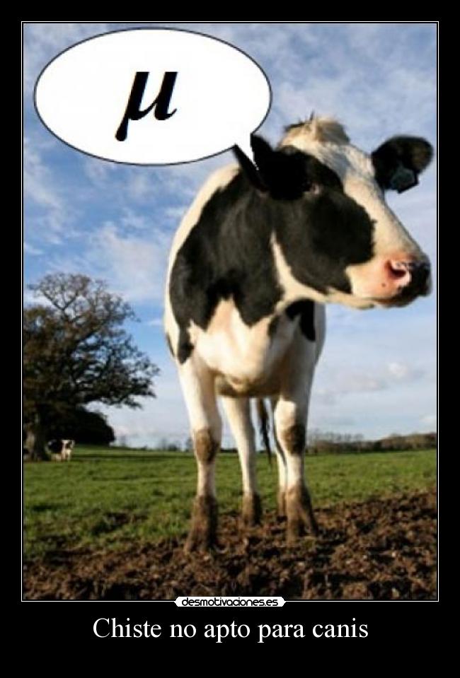 Chiste no apto para canis -