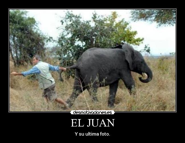 EL JUAN -