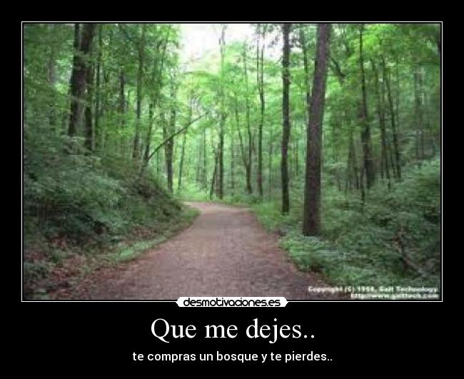 Que me dejes.. - te compras un bosque y te pierdes..