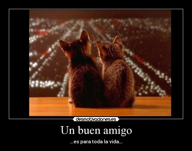Un buen amigo -