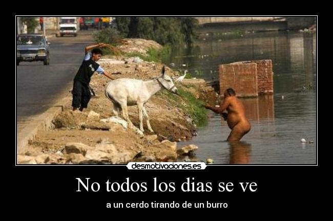 No todos los dias se ve -