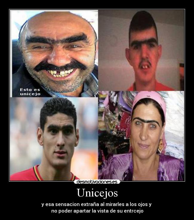 carteles wuau desmotivaciones