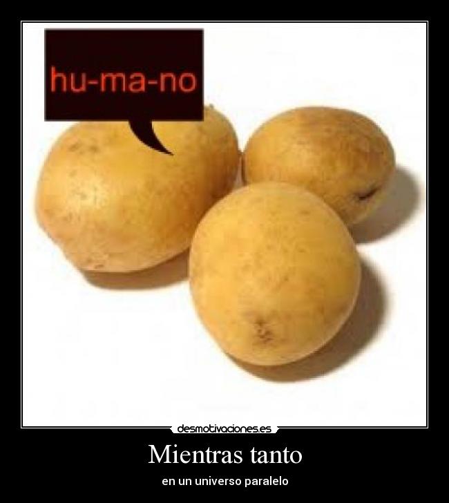 Mientras tanto - en un universo paralelo