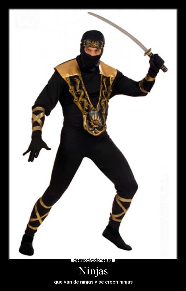 Ninjas - que van de ninjas y se creen ninjas