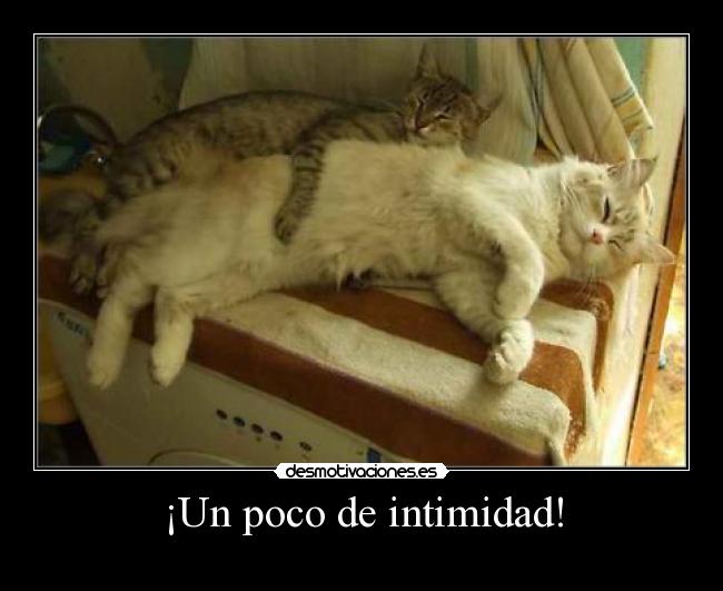 ¡Un poco de intimidad! -