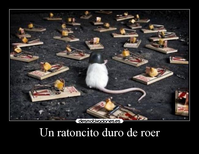 Un ratoncito duro de roer -