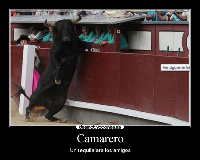 Camarero - 