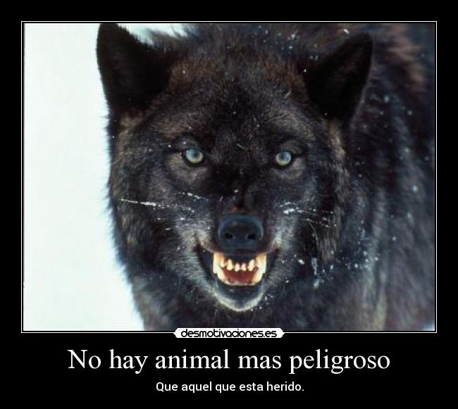 No hay animal mas peligroso - Que aquel que esta herido.