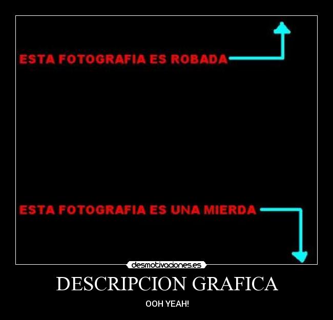 DESCRIPCION GRAFICA - 