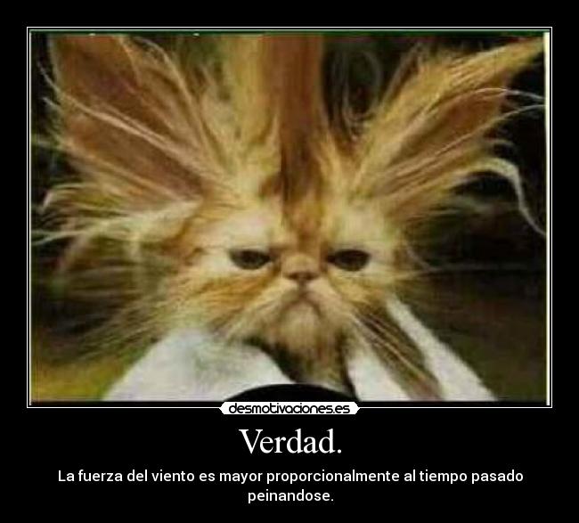 Verdad. - La fuerza del viento es mayor proporcionalmente al tiempo pasado peinandose.
