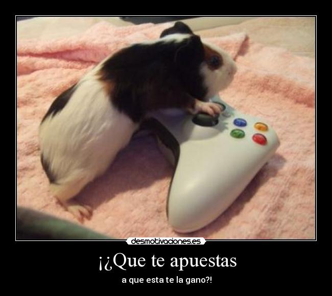 ¡¿Que te apuestas - a que esta te la gano?!