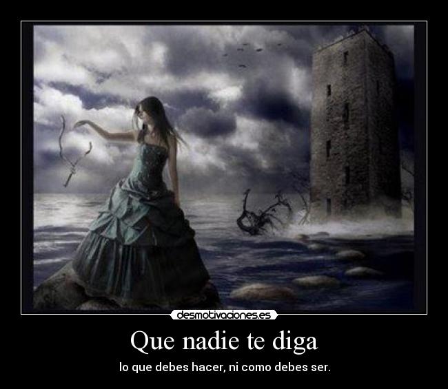 carteles rey leon airon ser hacer debes desmotivaciones