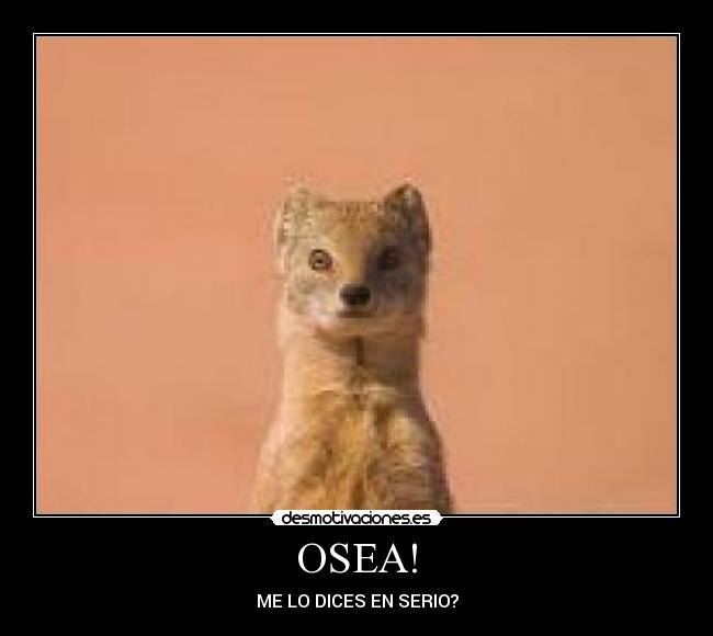 OSEA! - ME LO DICES EN SERIO?