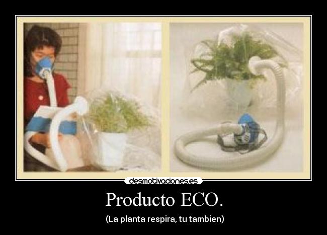 Producto ECO. - (La planta respira, tu tambien)