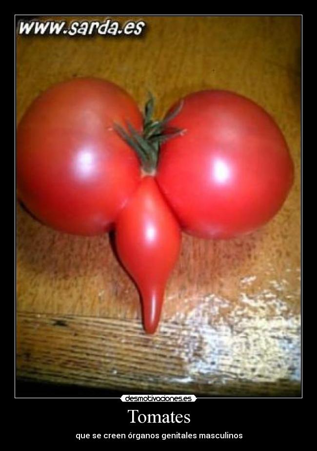 Tomates - que se creen órganos genitales masculinos