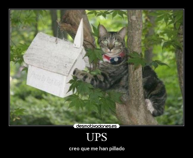 UPS - creo que me han pillado
