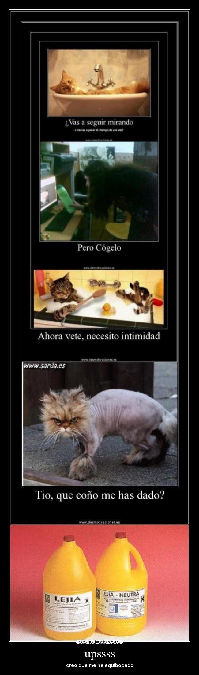 carteles creo que equibocado desmotivaciones