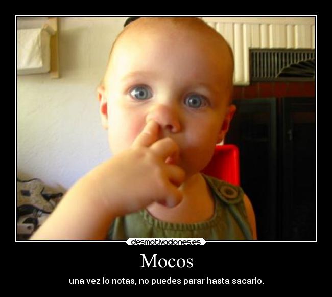 Mocos - 