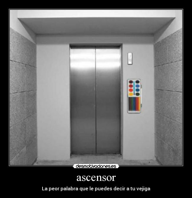 ascensor - La peor palabra que le puedes decir a tu vejiga