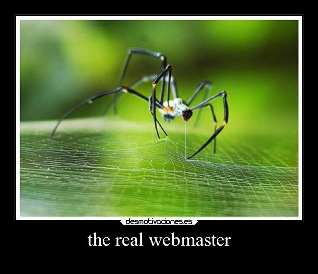 carteles desmotivaciones