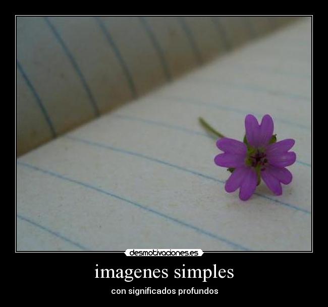 imagenes simples - 