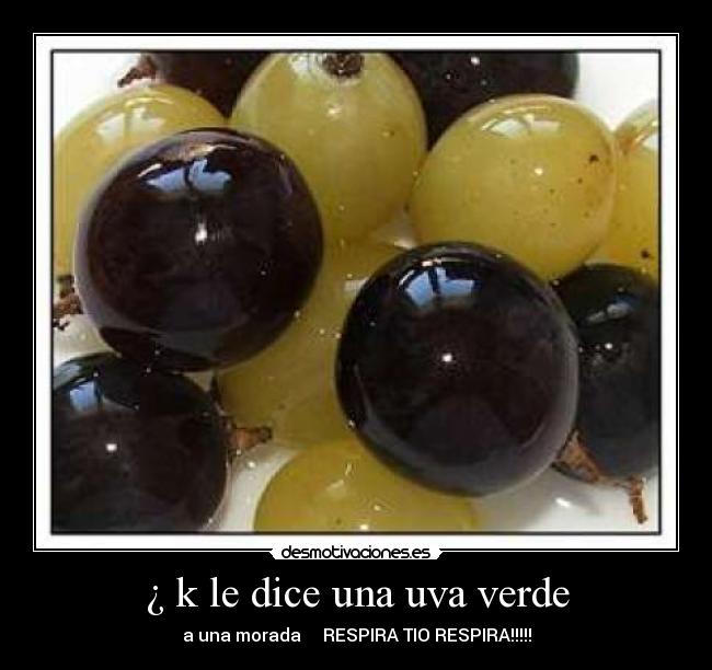 ¿ k le dice una uva verde -